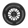Pneu Pirelli Aro 16 Carrier 225/65R16C 112R