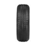 Pneu Trazano Aro 16 Triton T-118 205/65R16 95H