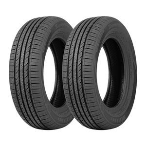 Jogo 2 Pneus Westlake Aro 15 Z-108 195/65R15 91V